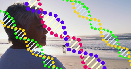 Senior woman standing on beach at sunset, with small dog walking and DNA overlay, copy space