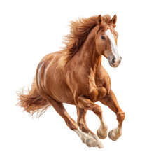 Obraz premium Full shot of a chestnut horse in motion (1)