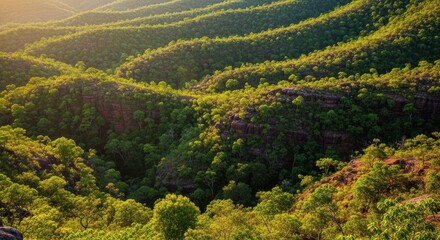Fototapeta premium Untouched Rolling Green Hills with Lush Forest, Kakadu