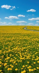 Yellow dandelion field, winding road, blue sky
