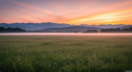 Obraz premium Fog Over Meadow at Sunrise, Mountains in Distance