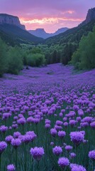Obraz premium Purple flower field at sunset, mountain valley