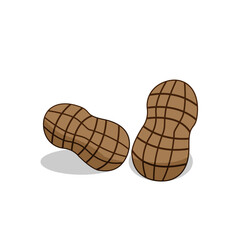 Vector illustration of two peanuts in their shells, highlighted by a detailed textured design against a plain white backdrop, suitable for food-related themes and peanut-centered concepts.