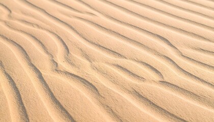 Golden sand ripples shaped by wind texture patterns