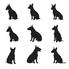 vector illustration of bull terrier silhouette set, Black & White silhouette set