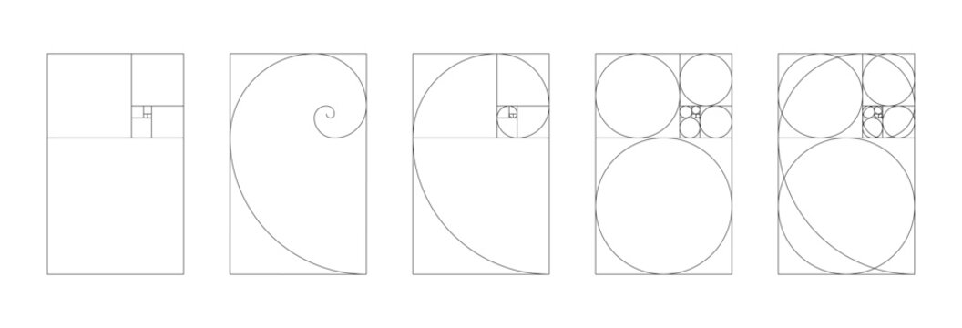 Vertical Fibonacci numbers array set of 5 elements. Template of golden ratio harmony proportions. 