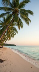 Obraz premium Tropical beach at sunrise