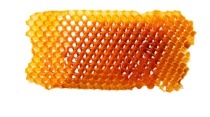 Close up view of a honeycomb with honey filled in some cells