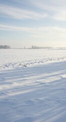 Winter field, soft focus