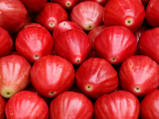 Red java apples, a tropical fruits from asia.
