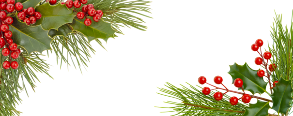 Christmas holly and pine branch border corner design with red berries and green leaves, isolated on transparent background for festive overlays or card templates