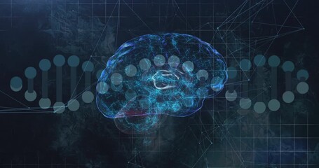 3D brain hologram starting left, DNA helix sliding while brain rotating forward for visualization - Powered by Adobe