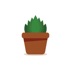 Succulent, Potted houseplants and flowers in terracotta pots, includes leafy greens, cacti, succulents. Decorative indoor plants set in flat vector illustration style isolated on transparent.