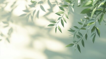 Tranquil nature-inspired wellness banner