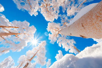 Frostcovered larch tree in winter forest against blue sky frozen nature