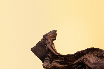 Minimal wooden display podium made of textured driftwood on soft beige-yellow gradient background....
