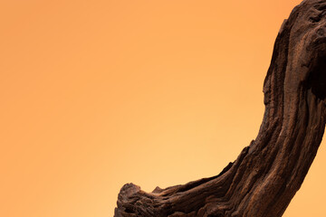 Organic wooden podium made of sculptural driftwood against warm orange gradient background. Ideal...