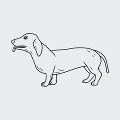 Thin Line Illustration of Dachshund with Tongue Out	
