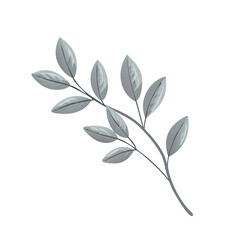 Elegant Grey Leaves Branch Isolated on White Background Perfect for Minimalist Designs Botanical Illustration Greenery Nature Decor