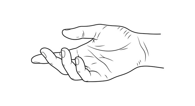 Line-Work Images – Browse 716 Stock Photos, Vectors, and Video | Adobe ...