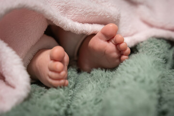 newborn baby feet in blanket
