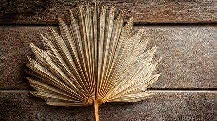 Dried fan palm leaf on rustic wooden background.

