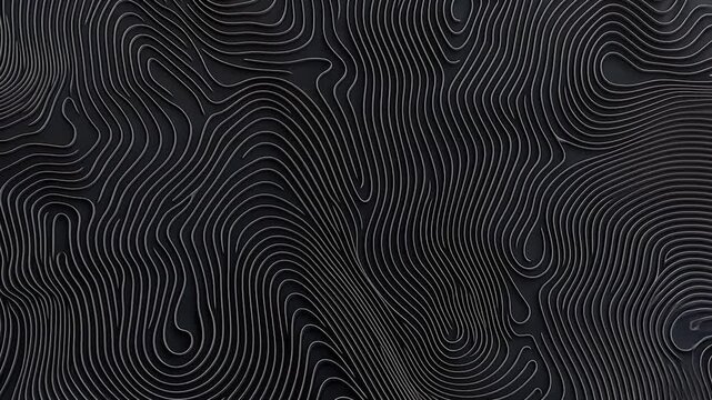 Abstract black and light gray swirling lines
