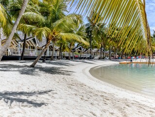 Idyllic Tropical Beach Resort with Palm Trees, White Sand, and Turquoise Water