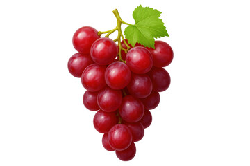 Fototapeta premium Ripe red grapes dangling with vibrant green leaf, clean isolated background highlighting natural agricultural produce