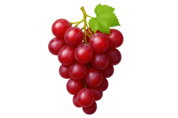 Ripe red grapes dangling with vibrant green leaf, clean isolated background highlighting natural agricultural produce