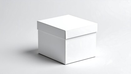 Fototapeta premium Blank white square box on a plain background