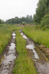 Wet dirt track with deep tire ruts and puddles passes through grassy field toward a collapsed wooden structure under cloudy sky.