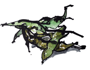 Fototapeta premium Illustration of edamame beans drawn with a brush. Interesting. Handwritten style. Summer vegetables. Seasonal. Izakaya.