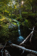 Serene Waterfall in a beautiful forest