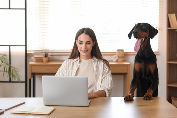 Cute Doberman dog and beautiful young happy woman working with laptop at home