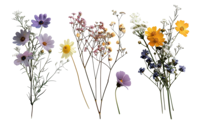 Presents three bouquets. Features cosmos, daisies, baby's breath in soft pastel colors. For nature, beauty, floral design, spring, wedding, editorial, marketing and web use.