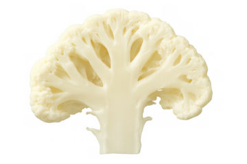Cauliflower cross section revealing intricate geometric pattern against transparent background