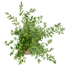 Watercolor illustration of green fern in a pot. Decorative bush illustration isolated on white background. For flower shops, printing on postcards, greeting cards, business cards, etc.