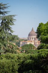 Rome Skyline