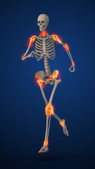 Highlighted Discomfort Areas in Skeletal Joint Anatomy