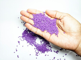 Color pigment granules, purple masterbatch on palm, isolated on white background, suitable as...