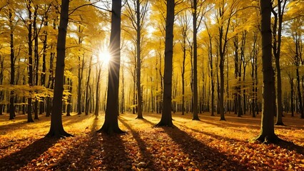 Golden autumn forest illuminated by low sun casting long tree shadows over carpet of colorful fallen leaves. Nature concept
