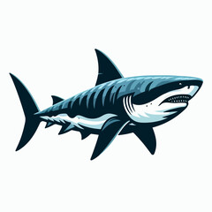 Fototapeta premium megalodon shark vector illustration