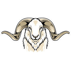 Illustration of a Ram with Detailed Curved Horns and Unique Characteristics