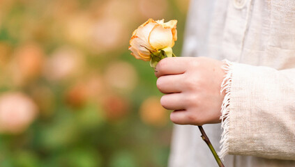 Child's Hand Holding a Single Withered Rose