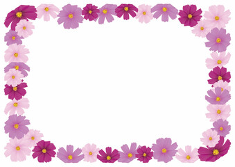 コスモスピンクフレーム