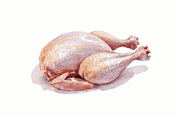 Raw Glow whole chicken meat isolated watercolor vector illustration svg