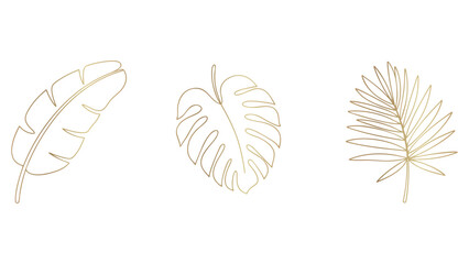 Golden Tropical Leaves Outline Vector Illustration on Transparent Background Design Element