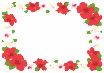 ハイビスカス赤白フレーム
