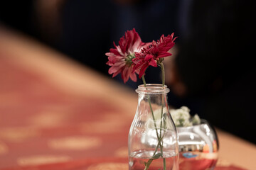 Two red Chrysanthemum flowers in a clear glass bottle vase on a table. Simple, elegant floral...
